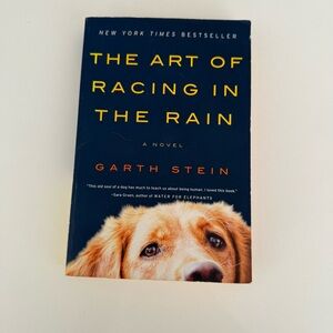 The Art of Racing in the Rain by Garth Stein